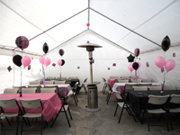 carpa 20x30 con calenton mesas y sillas