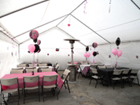 20x30 carpa con manteles rosa y sillas