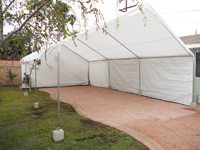 carpa con una pared